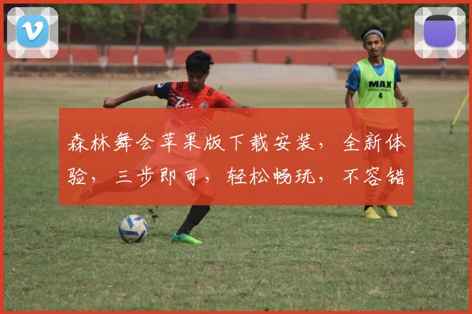 森林舞会苹果版下载安装,全新体验,三步即可,轻松畅玩,不容错过,快来下载