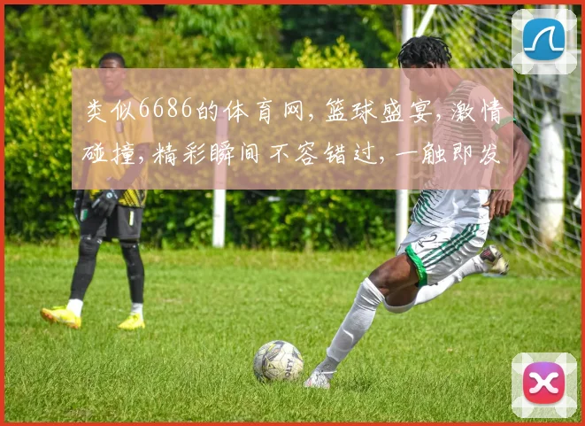 类似6686的体育网,篮球盛宴,激情碰撞,精彩瞬间不容错过,一触即发